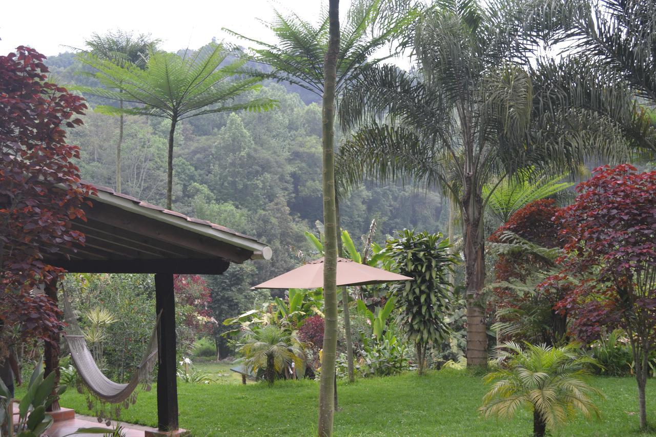 Eco Hotel La Jicarita Coatepec  Exterior photo