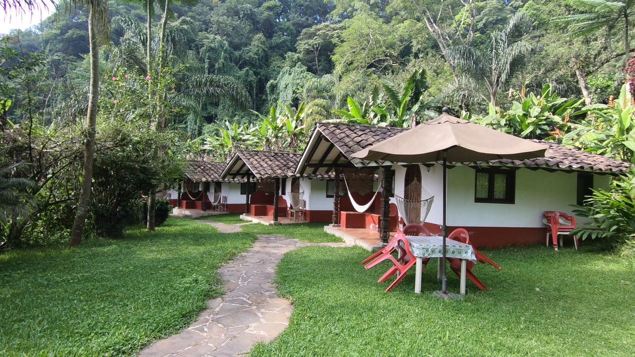 Eco Hotel La Jicarita Coatepec  Exterior photo